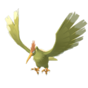 Spearow