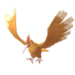 Spearow