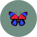 Papillon Agrias