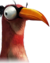 Eddie The Bird