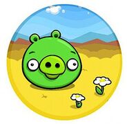 Bad Piggies