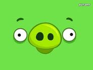 Bad Piggies