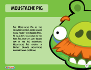 Bad Piggies