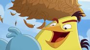 Hide and Seek (Angry Birds Toons)