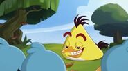 Cache-cache (Angry Birds Toons)