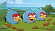 Esconde-esconde (desenhos animados do Angry Birds)