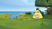 Cache-cache (Angry Birds Toons)