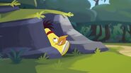 Esconde-esconde (desenhos animados do Angry Birds)