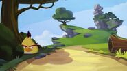 Cache-cache (Angry Birds Toons)