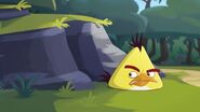 Esconde-esconde (desenhos animados do Angry Birds)