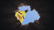 Hide and Seek (Angry Birds Toons)