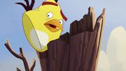 Hide and Seek (Angry Birds Toons)