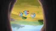 Cache-cache (Angry Birds Toons)