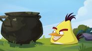 Hide and Seek (Angry Birds Toons)