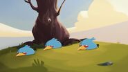 Hide and Seek (Angry Birds Toons)