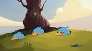 Cache-cache (Angry Birds Toons)