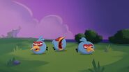 Esconde-esconde (desenhos animados do Angry Birds)