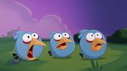 Cache-cache (Angry Birds Toons)