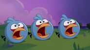 Esconde-esconde (desenhos animados do Angry Birds)