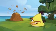 Esconde-esconde (desenhos animados do Angry Birds)