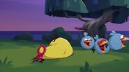 Cache-cache (Angry Birds Toons)