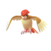 Pidgeot