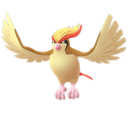 Pidgeot