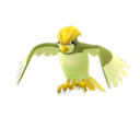 Pidgeot