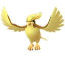 Pidgeot