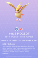 Pidgeot