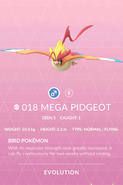 Pidgeot