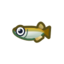 Pescado (Nuevos Horizontes)