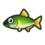 Poisson (Nouveaux Horizons)