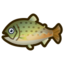 Poisson (Nouveaux Horizons)