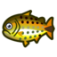 Poisson (Nouveaux Horizons)