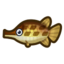 Poisson (Nouveaux Horizons)