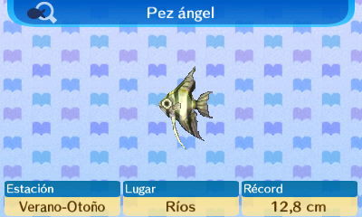 Angel fish