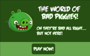 Le monde des mauvais cochons