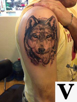 Black Shoulder Wolf