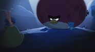 Angry Birds Toons Saison 3