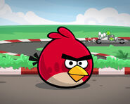 Angry Birds Heikki