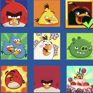 Amis Angry Birds