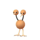 Doduo