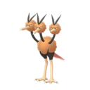 Doduo