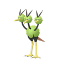 Doduo