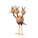 Doduo