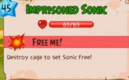 De Sonic Dash