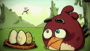 Bande-annonce cinématographique Angry Birds