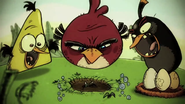 Trailer cinematográfico do Angry Birds