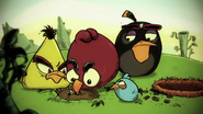 Bande-annonce cinématographique Angry Birds